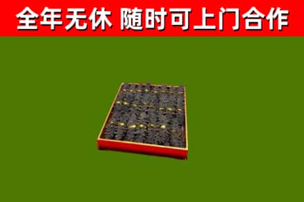 云龙烟酒回收海参.jpg